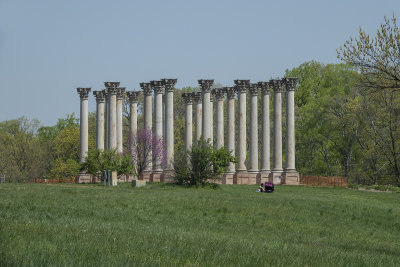 US Capitol columns at the arboretum