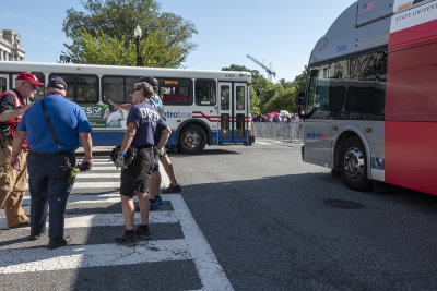 Bus gridlock