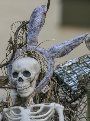 The Halloween bunny skeleton?