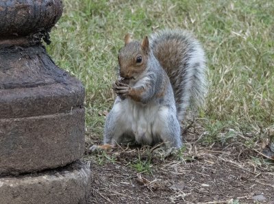 'Mine!'