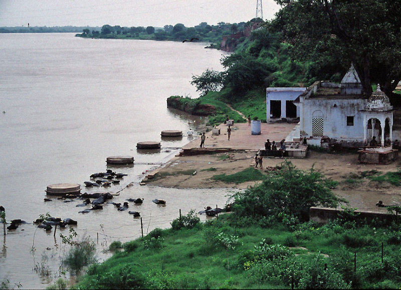 Yamuna river, Agra.