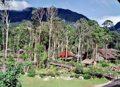 Malaysia - Borneo - Sarawak