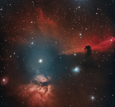 Horsehead and Flame