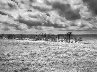 Washita County, Oklahoma