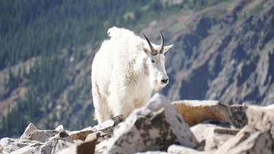 breckenridge_2018