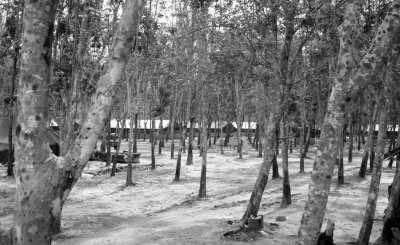 2/2nd Infantry (Mechanized) area - Lai Khe basecamp