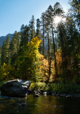 Along the Merced River