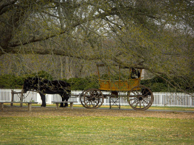 waiting carriage