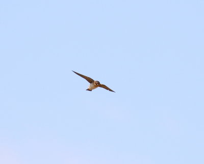 623A8963.JPG