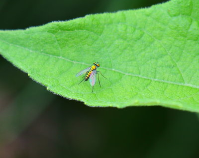 623A9541.JPG