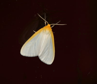 623A0801.JPG