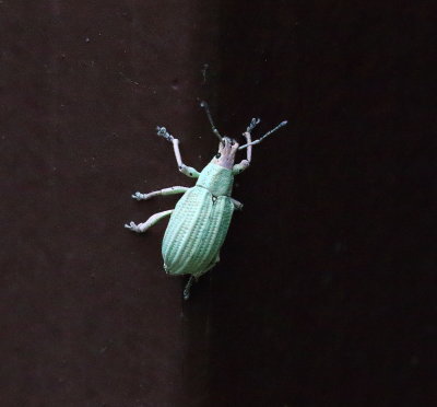 623A9753.JPG