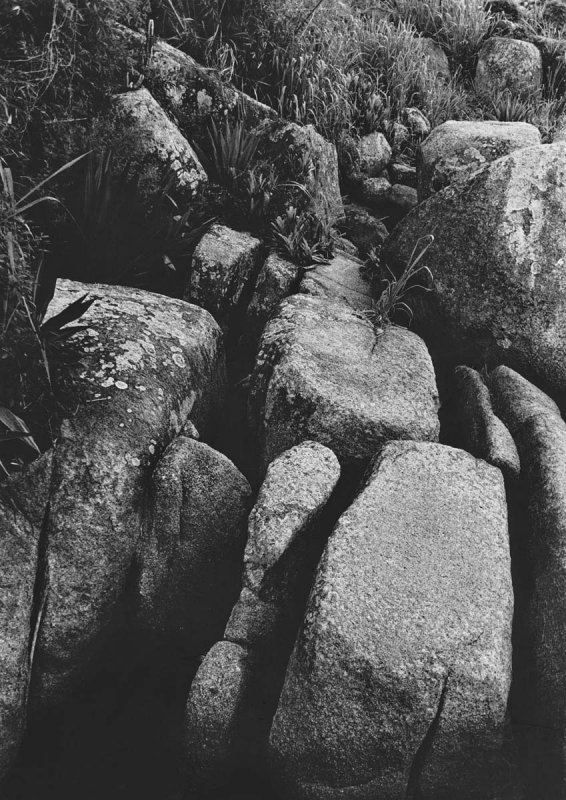 Exhibition Canto dos Araçás à Costa da Lagoa; Florianópolis (1995)