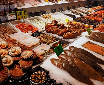 Fish food in the Trouville market.