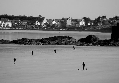 g10/39/1151039/3/165131276.80NgQnWJ.jpg