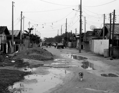 Location: Bairro Praça, Tijucas.
