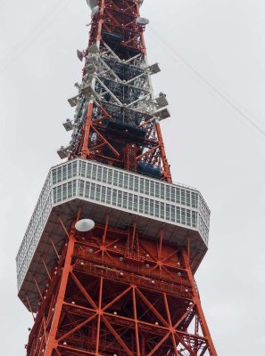 The Tokyo Tower (333 meters); actually, it is a little higher than 'La Tour Eiffel' in Paris.