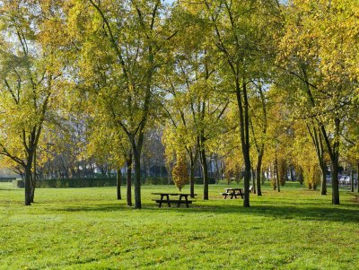 Near the Parc de Sceaux.