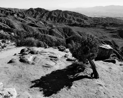 In the Joshua Tree Park; the Keys View. 