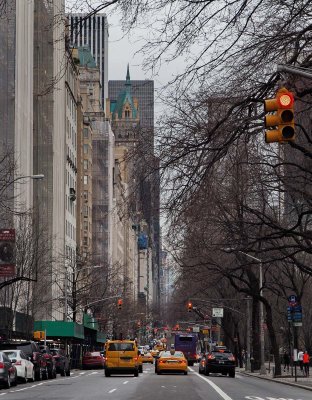 NYC; the 5th Avenue, by the Central Park.