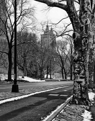 NYC, Central Park. 