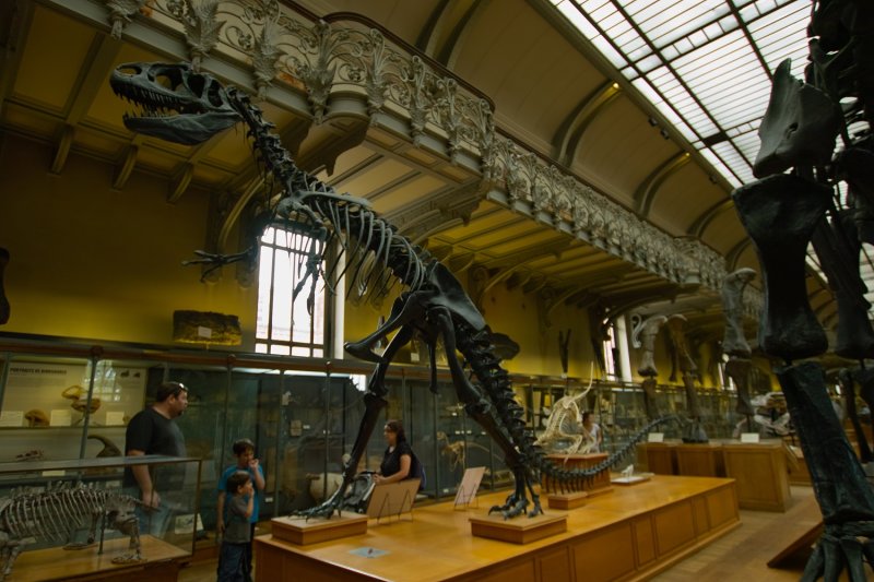 Jardin des plantes - Galerie de Paléontologie et d'Anatomie comparée