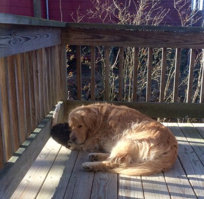 Finnegan_1815.jpg