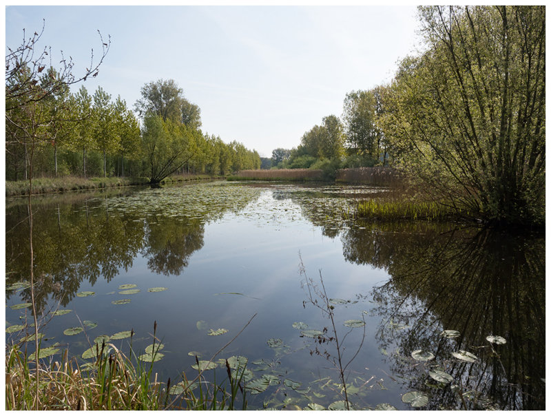 Zuidlede