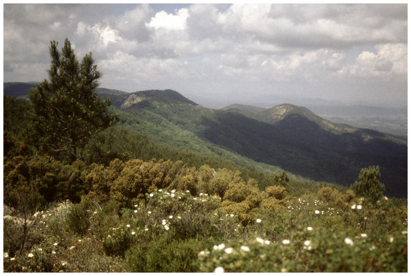 Massif des Maures