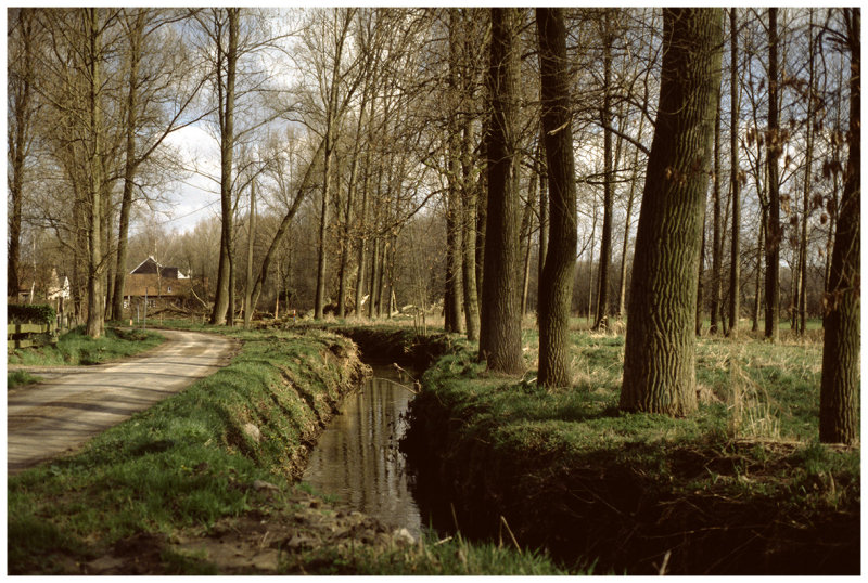 Molenbeek