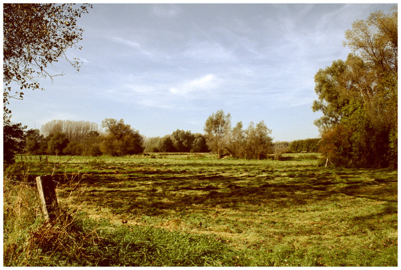 Schonegem