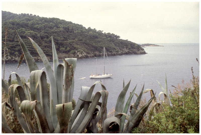 Porquerolles