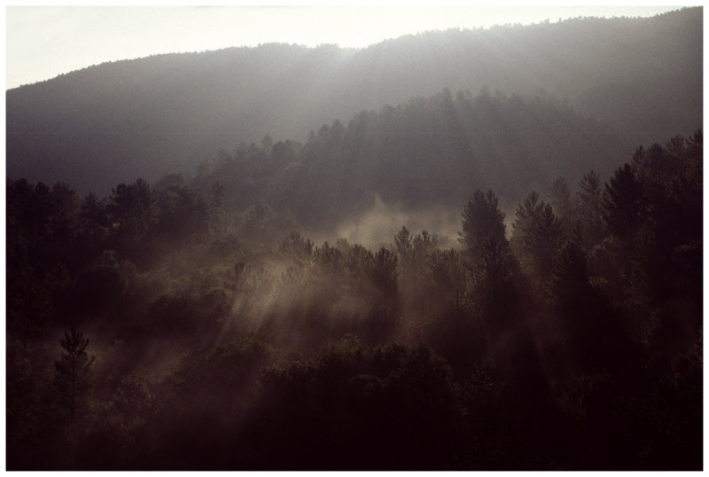 Massif des Maures