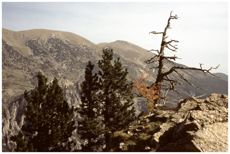 Pirineus