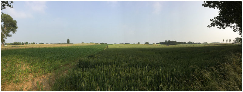 kouter Mussenzele-Vondelen