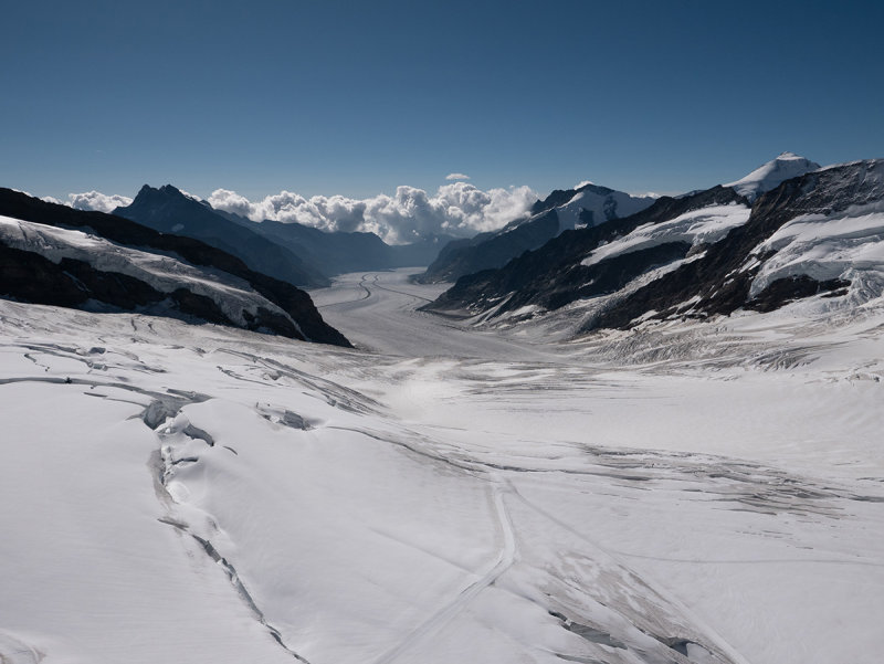 Jungfraufirn and Aletschgletsjer