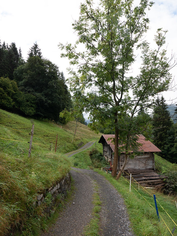 Wengen