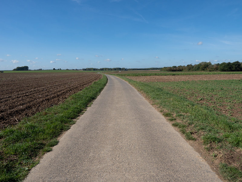 campagne