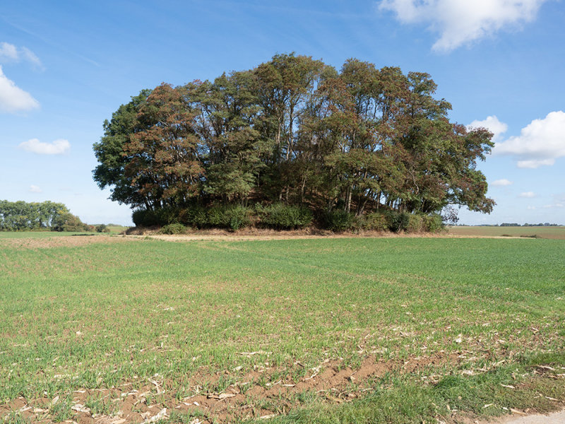 Tumulus dHottomont