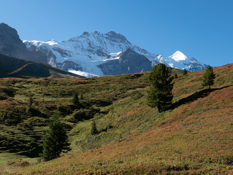 Alp Wrgistal