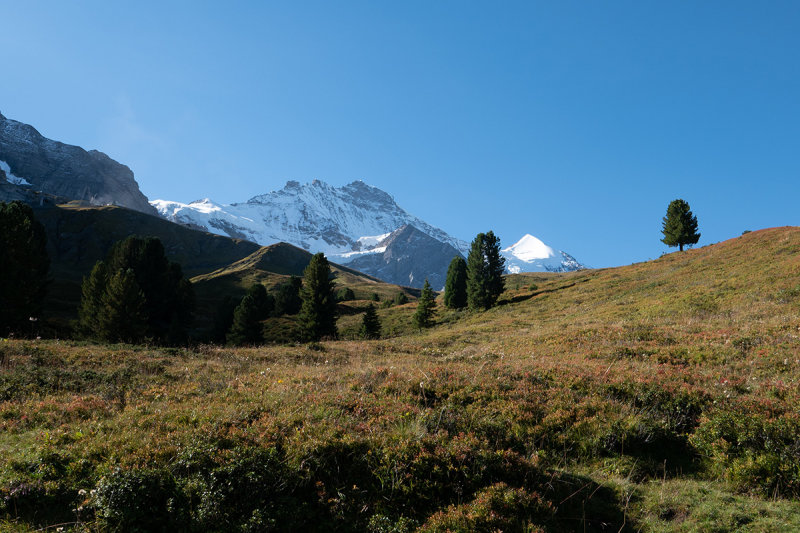 Alp Wrgistal
