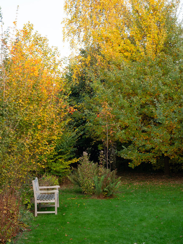 autumn