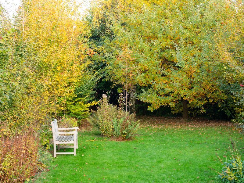 autumn