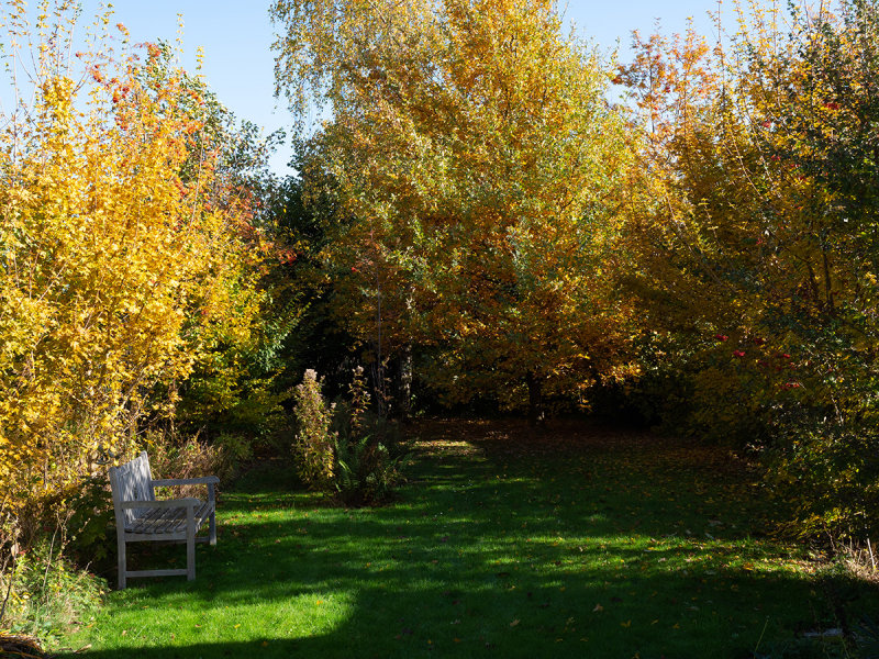 Autumn