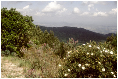 Massif des Maures