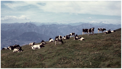 Lago di Garda 1972