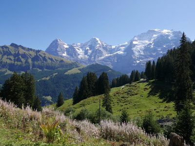 Eiger, Mnch and Jungfrau