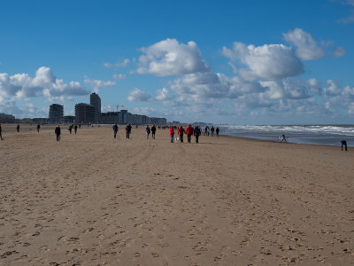 a walk on the beach