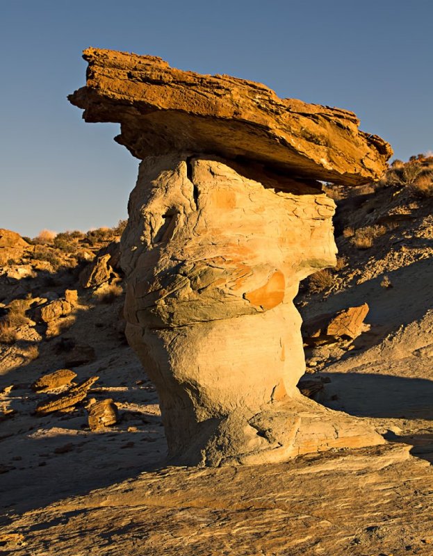 Stud Horse Point