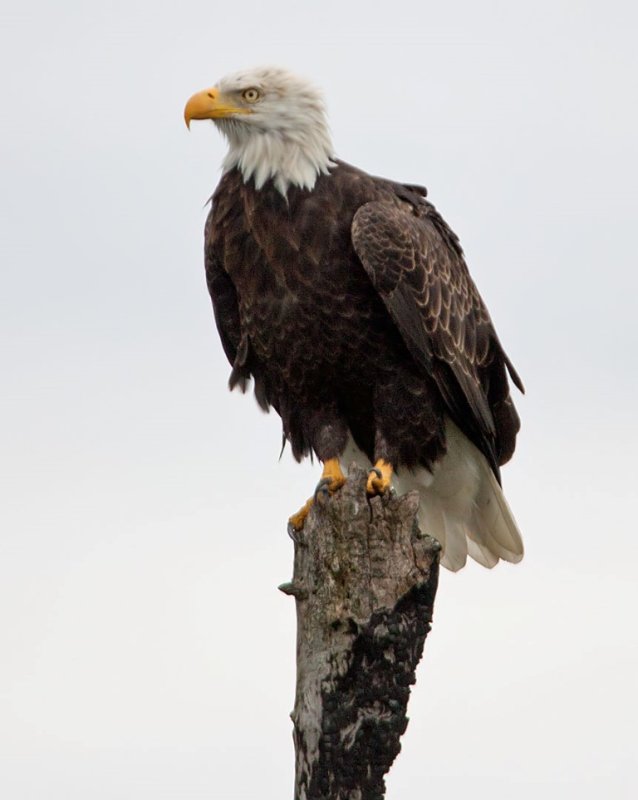  Sherburne NWR 